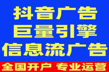 SEM广告投放的竞价策略与效果评估案例